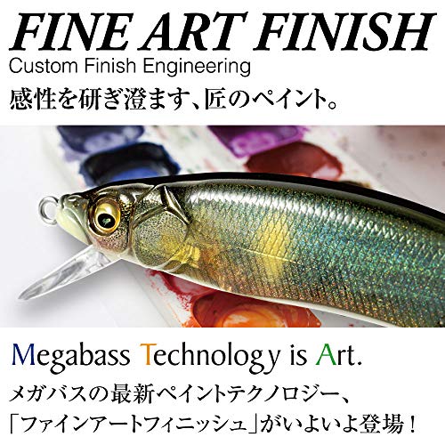 早い者勝ち】人気ルアーが大量プライスダウン中です！ | TSURI HACK